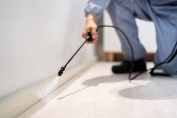 Licensed Mosquito Control service in Albany, GA - Show Me Pest Control
