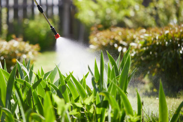 24/7 Emergency Mosquito Control experts in Albany, GA