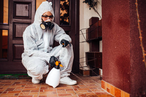 Reliable Mosquito Control contractor in Albany, GA by Show Me Pest Control